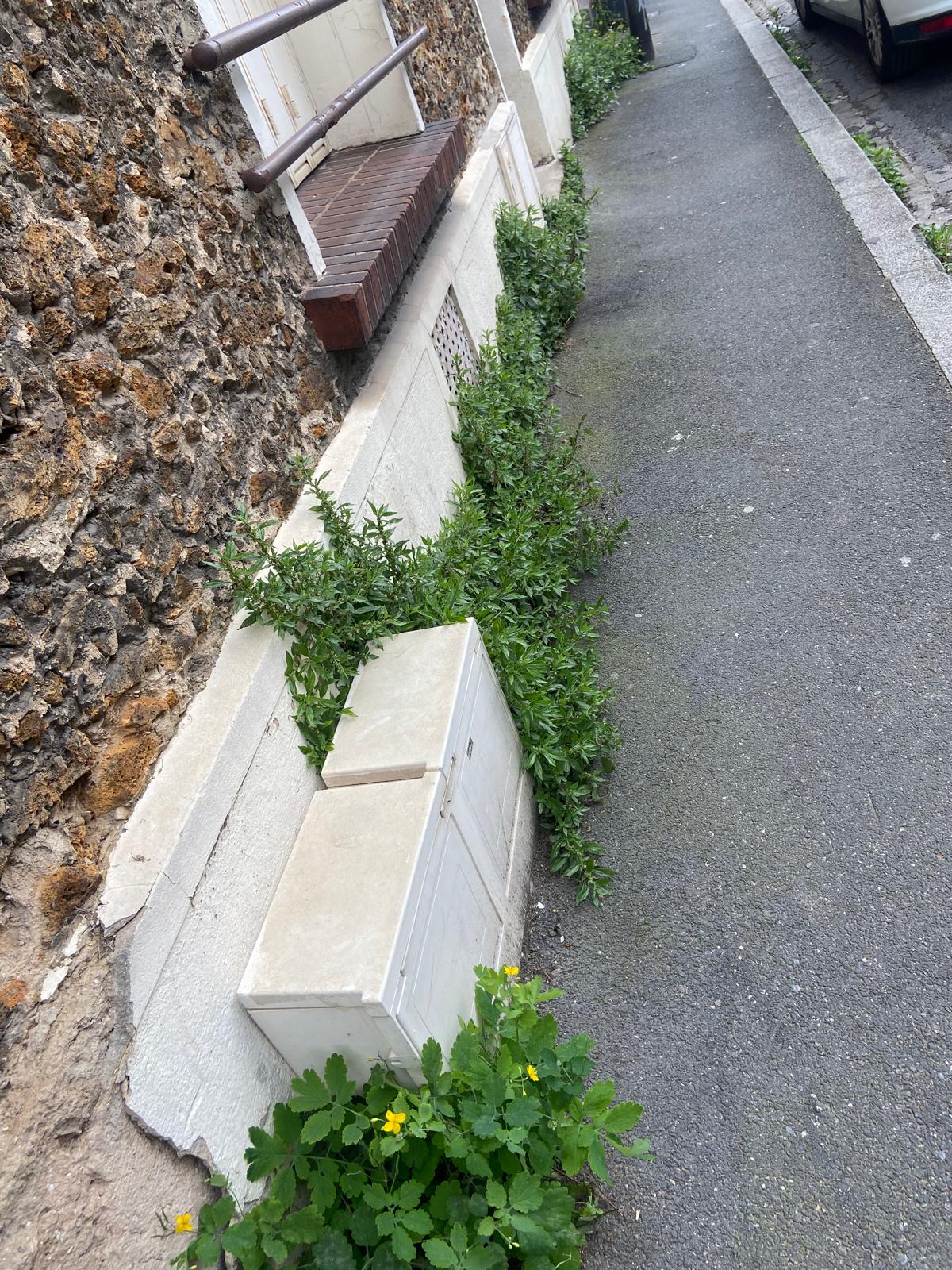 Désherbage et entretien